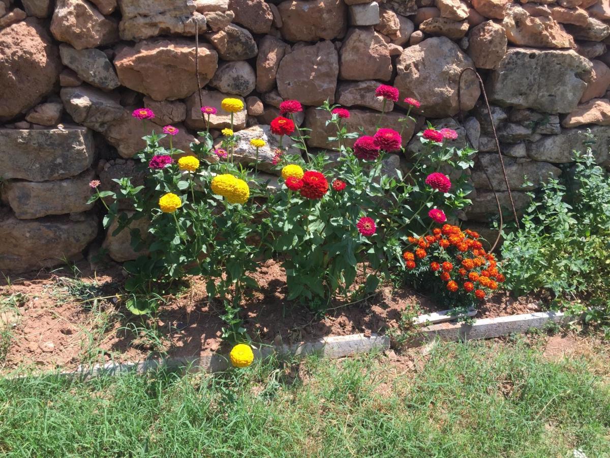 Bed and Breakfast Casa De Newsham Cabacos Екстер'єр фото
